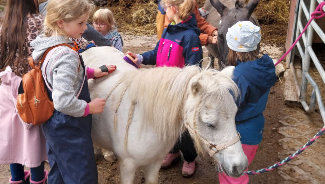 Kids auf dem Erlebnisbauernhof 2026